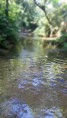 /album/galeria-de-fotos-cachoeira-da-fumaca-serra-do-mar/img-20170218-113439-1-jpg/